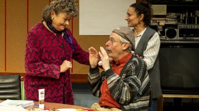 HOW TO PLOT A HIT IN TWO DAYS cast